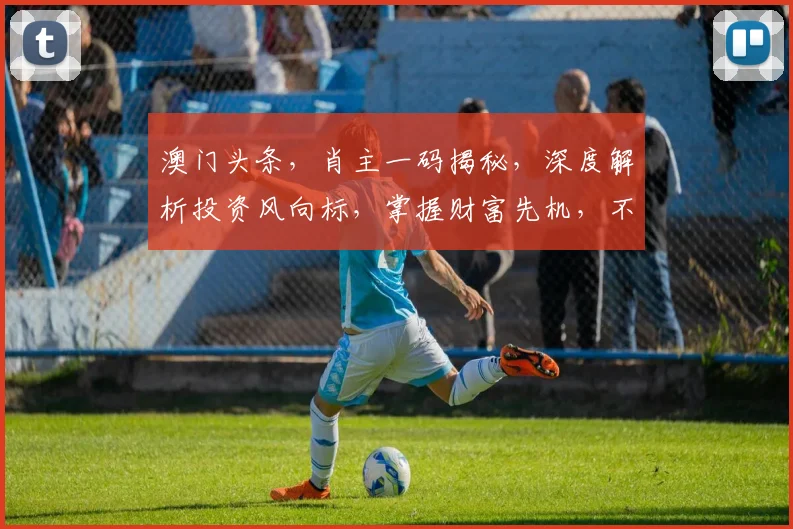 澳门头条，肖主一码揭秘，深度解析投资风向标，掌握财富先机，不容错过