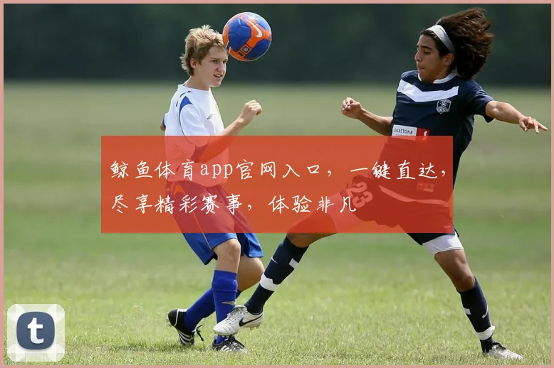 鲸鱼体育app官网入口，一键直达，尽享精彩赛事，体验非凡