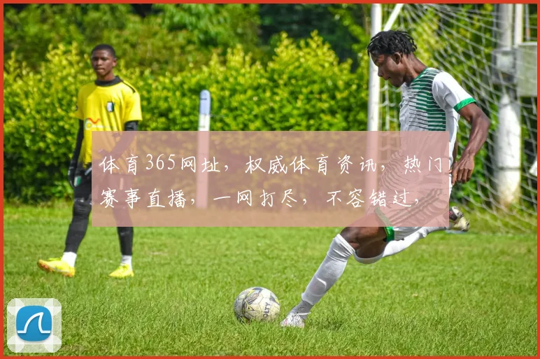 体育365网址，权威体育资讯，热门赛事直播，一网打尽，不容错过，尽享体育盛宴