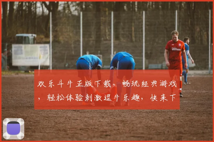 欢乐斗牛正版下载，畅玩经典游戏，轻松体验刺激逗牛乐趣，快来下载吧，不容错过